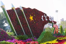 大丰城市绿化常用苗木标准