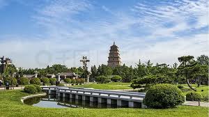 台州园林绿化处稠城分所